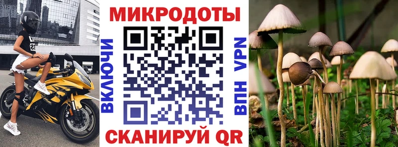Псилоцибиновые грибы Cubensis Дзержинск