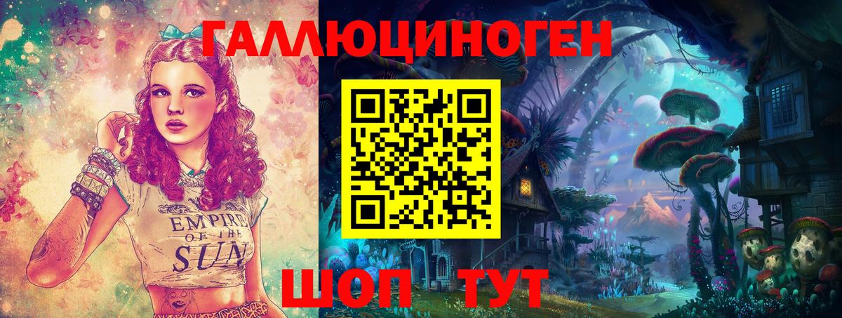 Галлюциногенные грибы Psilocybe Дзержинск
