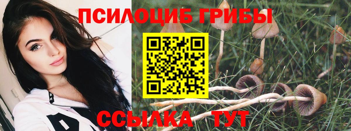 Псилоцибиновые грибы Magic Shrooms  Вход с VPN  Дзержинск 